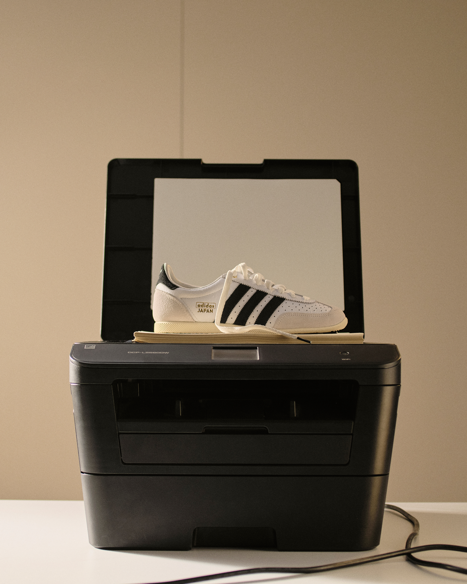 Nature morte chaussure adidas