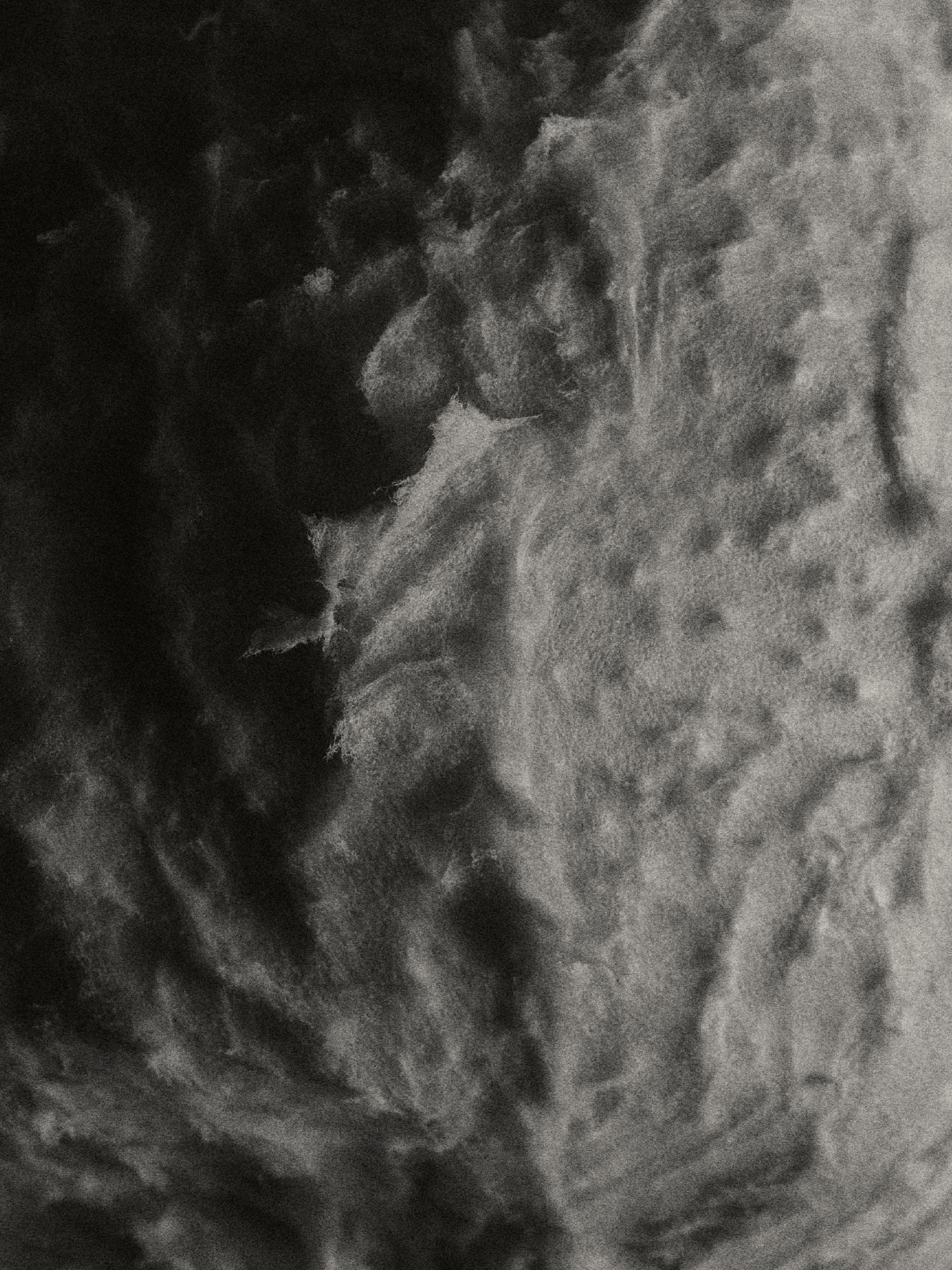 shoot ingrédient l'amour pourpre coty osmium