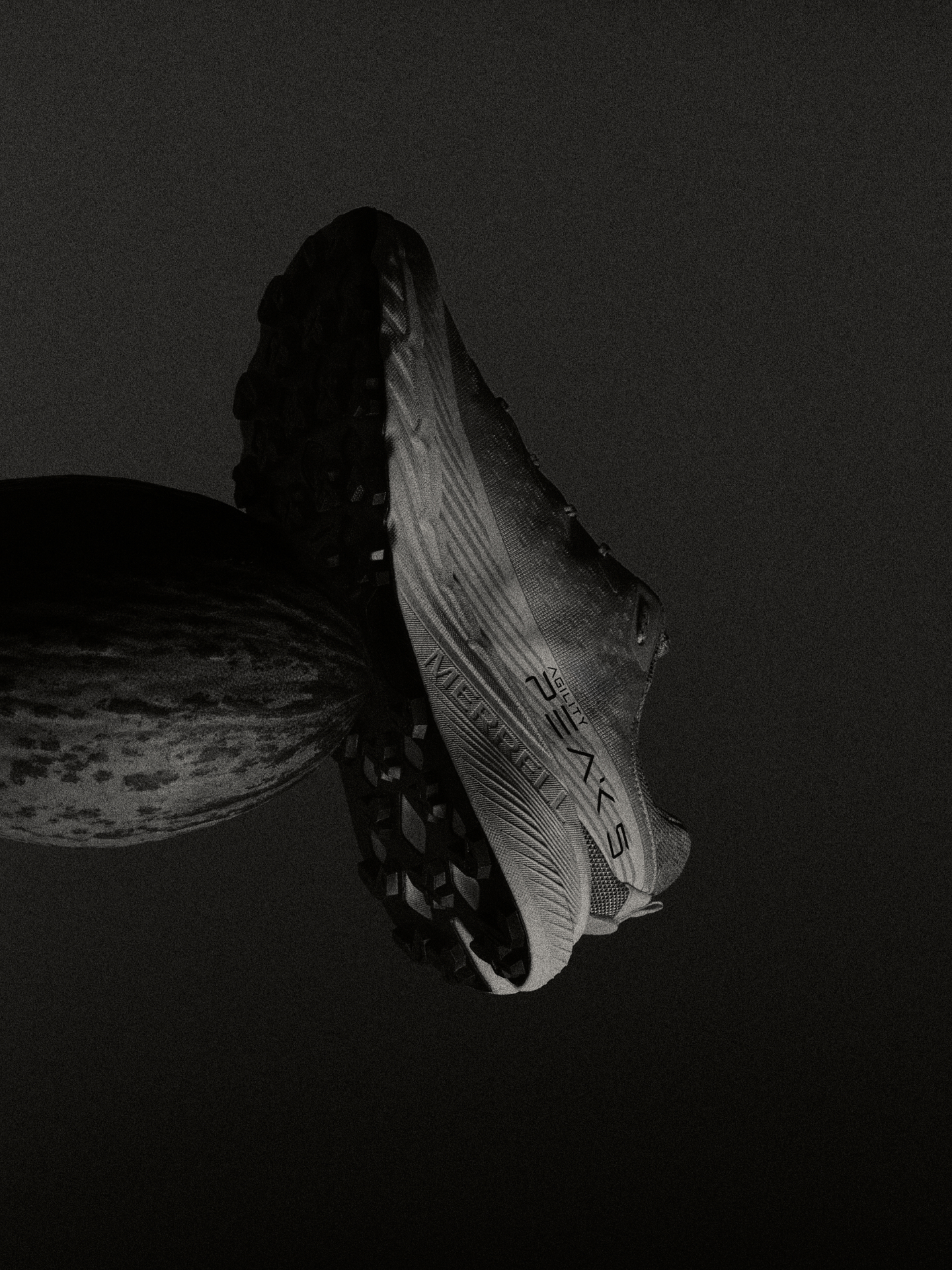 still life merrel trail shoes 2