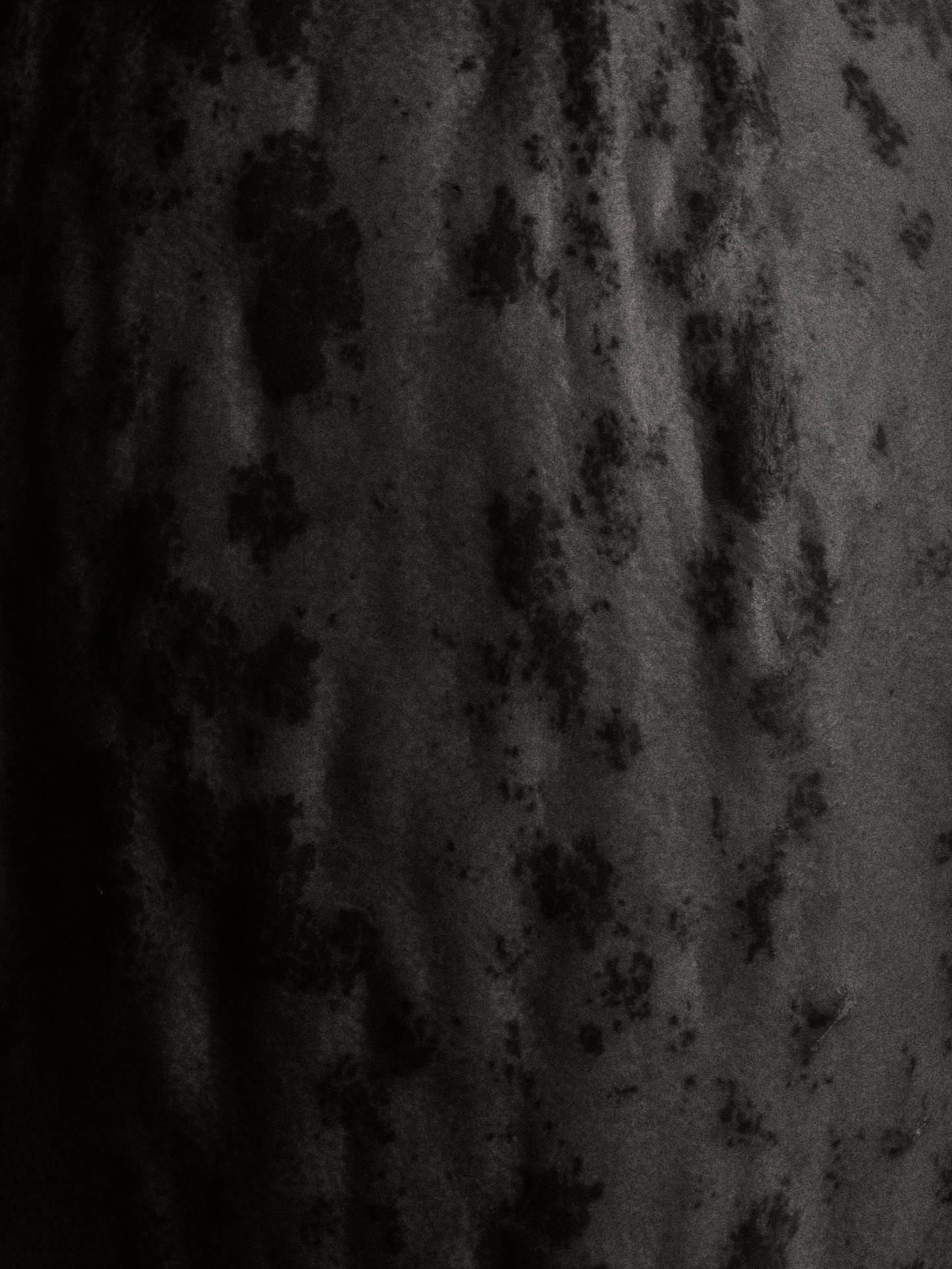 still life merrel trail shoes 2