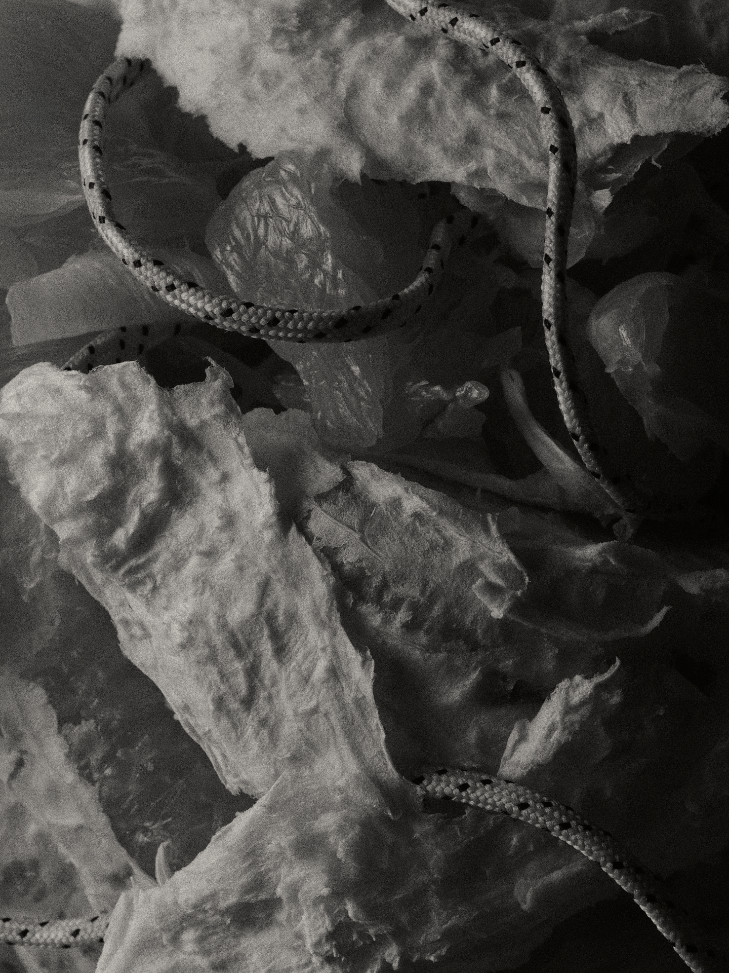 still life merrel trail shoes detail 3 laces